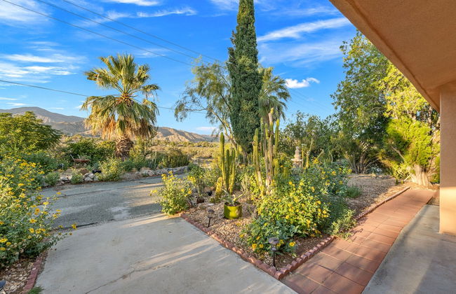 The Juniper - Foto 51