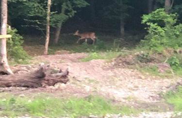 Liberty Cabin on Collier Creek - Foto 22