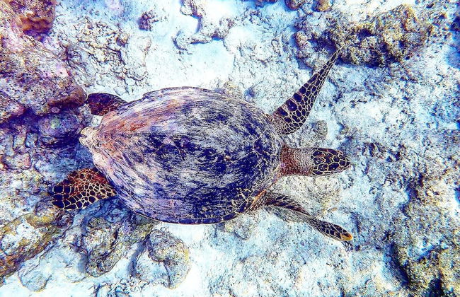 La Due Thulusdhoo - Foto 21