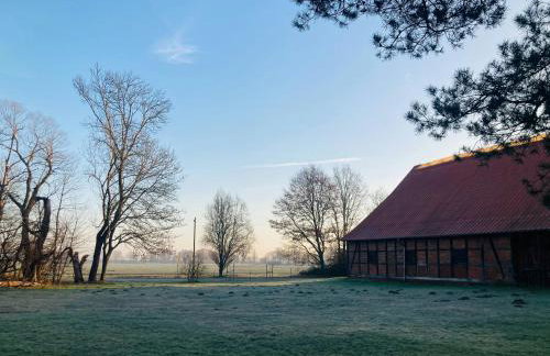 Idyllic Vacation Home In The Elbe Floodplains - Foto 39