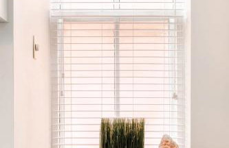 Family Fun in Lafayette Square ABODEbucks - Foto 31