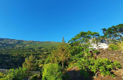 Casa do Gato Preto - Photo 18