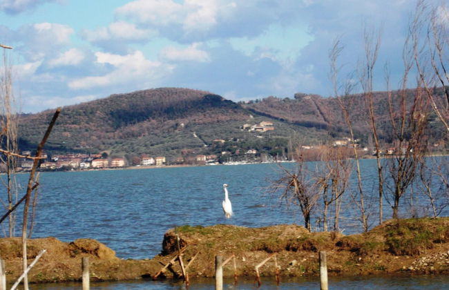 Borgo Cenaioli - Photo 16