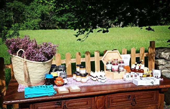 Visita a una granja de abejas con degustación de miel - Foto 3