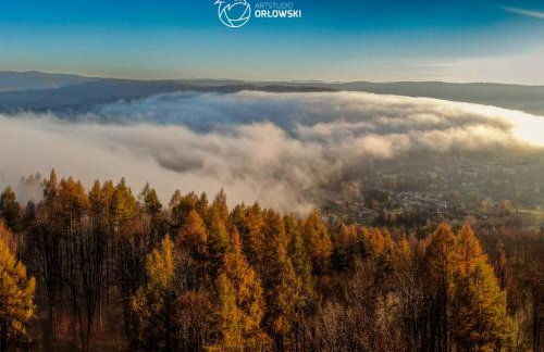 Stodoła Orłów - Domek z Jacuzzi na wyłączność - Foto 36