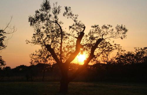 Podere Campo alle Serpi - Foto 53