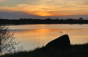 Czapla i Żuraw - Foto 31