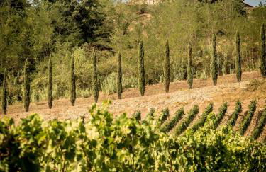 Fattoria Fibbiano - Foto 139