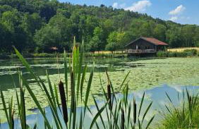 Ferienapartment Wilma - Foto 50