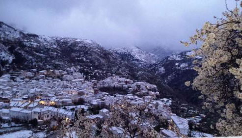 Alojamiento El Pilar - Foto 3