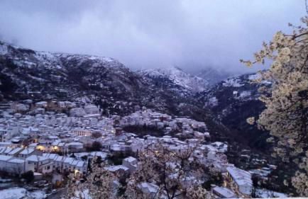 Alojamiento El Pilar - Foto 3