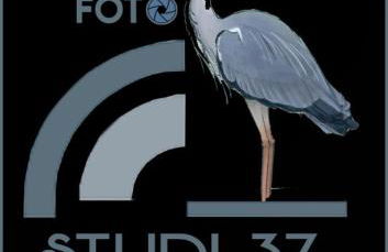 Casa FotoStudi37 - Foto 29