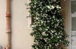 La Casa dell'Artista - Affitti Brevi - Ferla - Foto 6