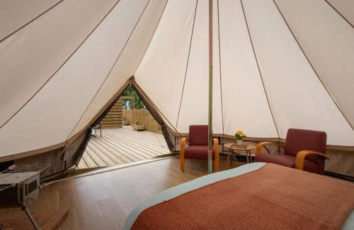 Monte frio de Tenerife - Foto 70