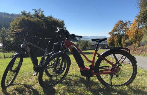 Landgasthof Reinert - Foto 45