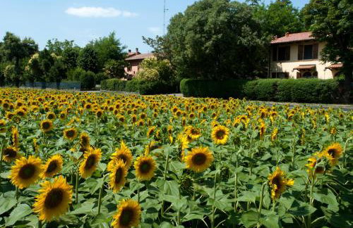 Elena Paternoster - Foto 8