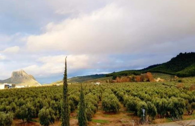 Holiday Home in Villanueva Near El Torcal Park - Foto 25