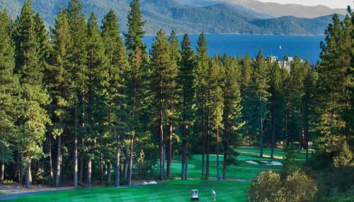 Peace Among the Pines - Foto 3