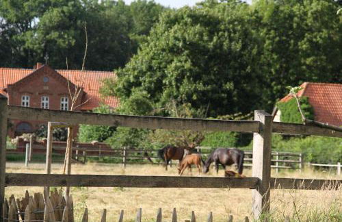Ferienhaus Am Untergut in der Klingelstraße - Foto 22