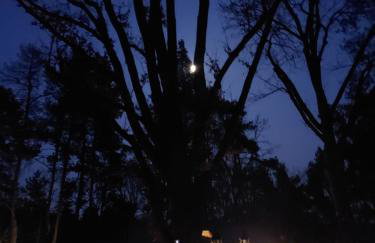 Fort Janowek - Foto 59