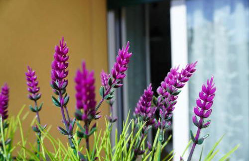 Grimani Suite - At Your Place Milano - Foto 28