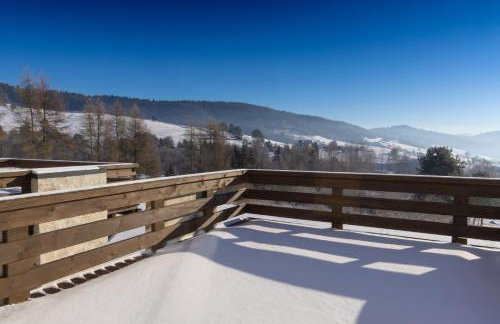 Willa Rustica - Foto 4