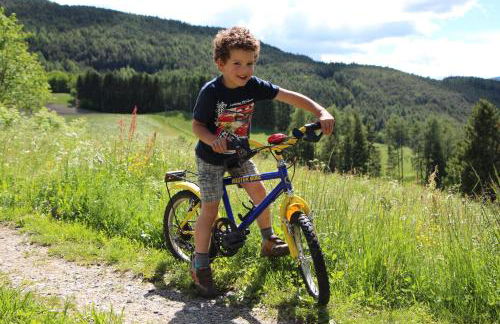 Spisserhof - Photo 30