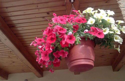 Kuća Za Odmor Barbara - Photo 36