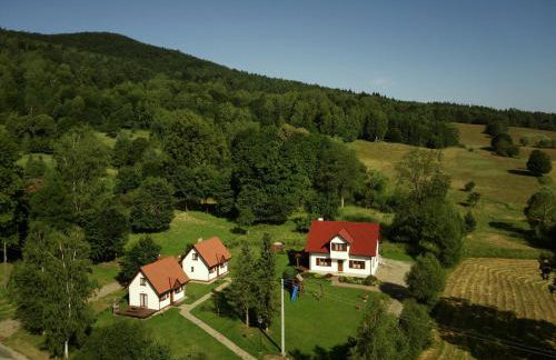 Domek Bieszczadzkie Brzegi - Foto 22