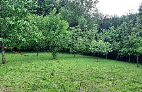 Parisowka w Wielkim Lesie - Foto 12