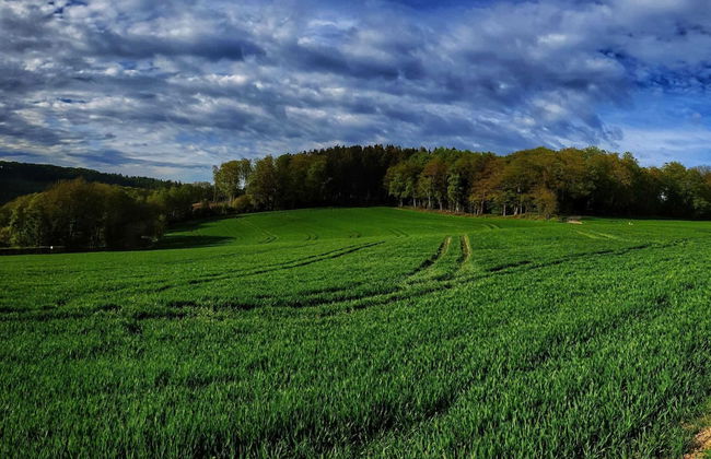 Ruhiger Bungalow am Hennesee mit Terrasse - Photo 44