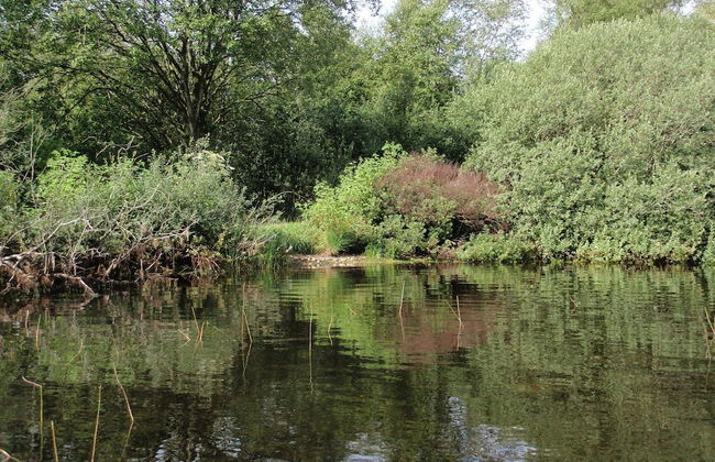 Rustic Holiday Home in Ansager near Water - Foto 6