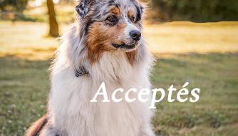 Cottage tout confort neuf au calme 6p WiFi - Foto 2