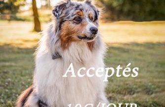 Cottage tout confort neuf au calme 6p WiFi - Foto 2