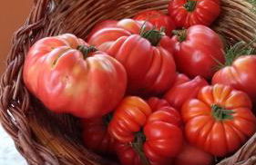 Pò delle Buche - Photo 43