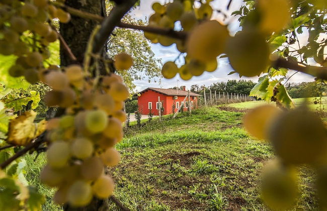 Agriturismo Borgo Imperiale - Foto 42