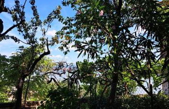 L'incanto del Trasimeno con giardino vista lago nel cuore di Castiglione - Foto 23