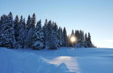 Le Chalet des Pas Sages - Foto 24