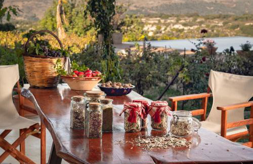 Nassibe Estate - Photo 32