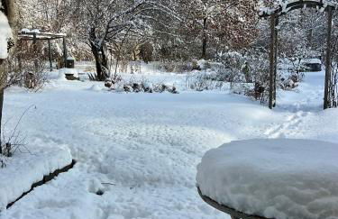 Design Ferienwohnung mit Bauerngarten - Foto 67