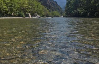 Konitsa Primula - Photo 23