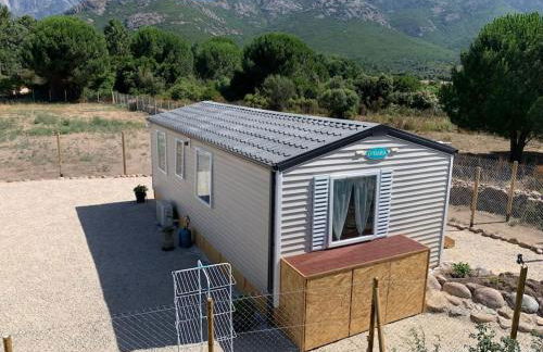 Mobil- home à Calenzana - Foto 9