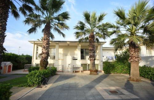 THE FLOWERs - Foto 1