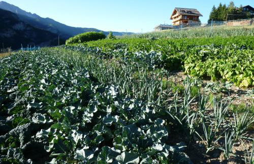 Agriturismo Barba Gust - Foto 23