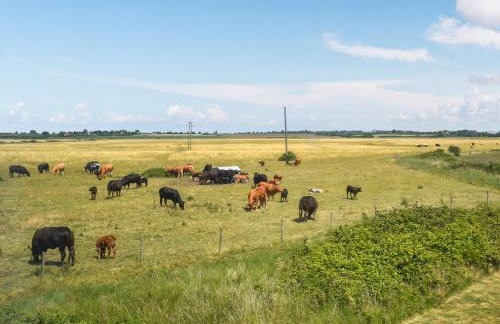 Humperdink - Foto 22