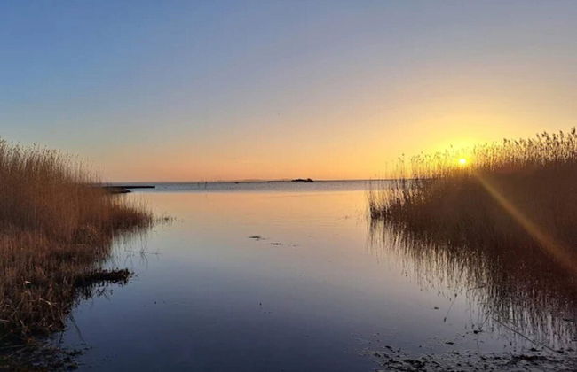 2 Person Holiday Home in Solvesborg-by Traum - Photo 17