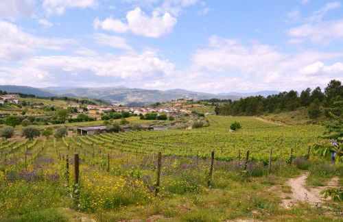 Casas de Selhariz - Foto 43