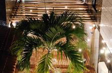 Kitnet Diskbeer - Photo 1