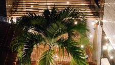 Kitnet Diskbeer - Photo 1