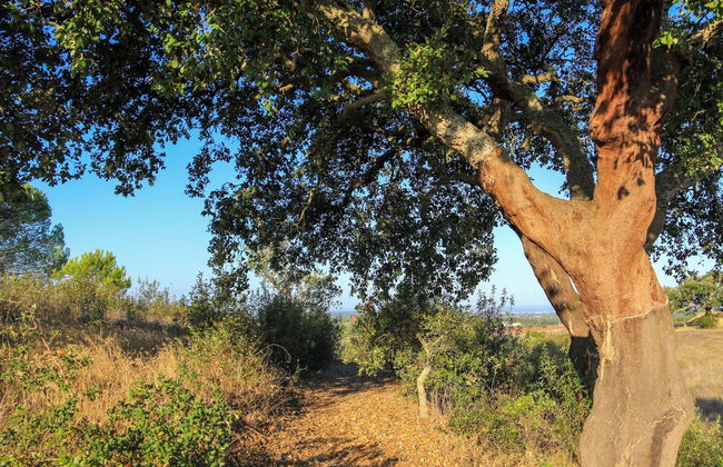 Monte Sardinha - Photo 75